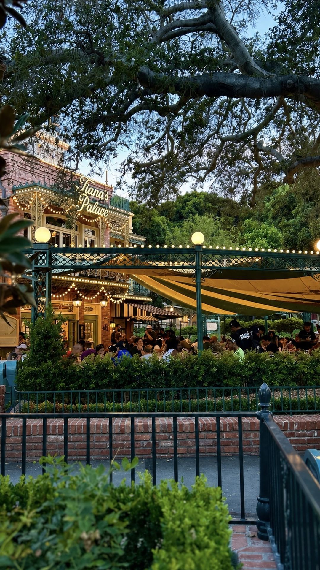 Tiana's Palace glowing through the trees at golden hour